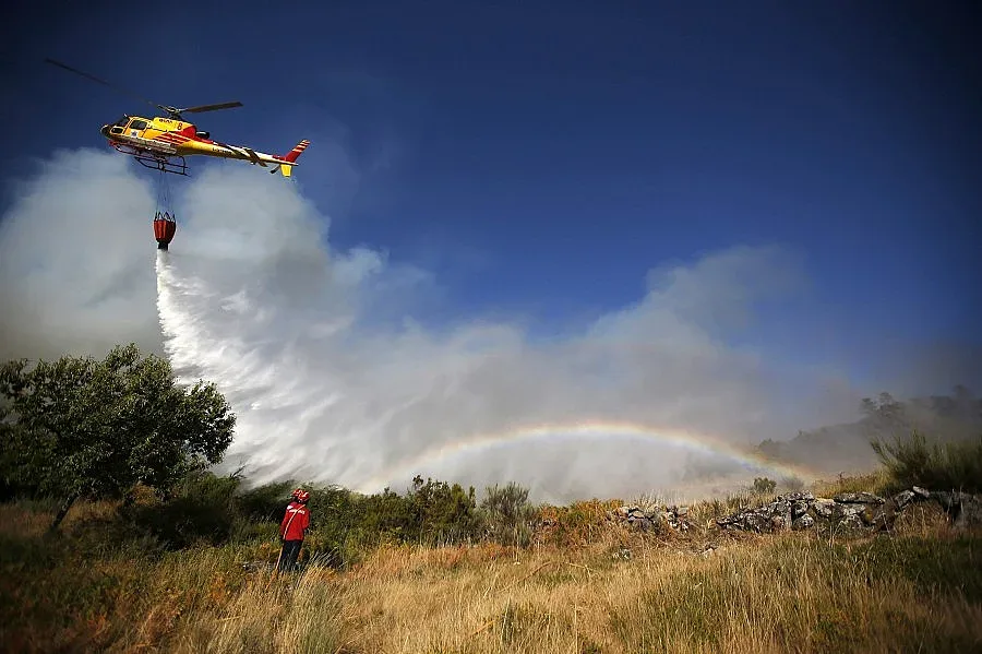 Шест горски пожара бушуват в Португалия