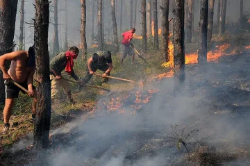Локализираха пожара край Свиленград