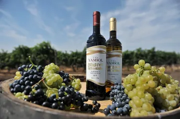 Бутикова изба в дома на Villa Yambol