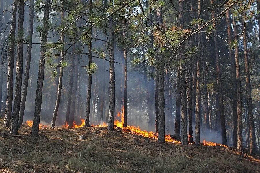 Пламна Стара планина край Враца
