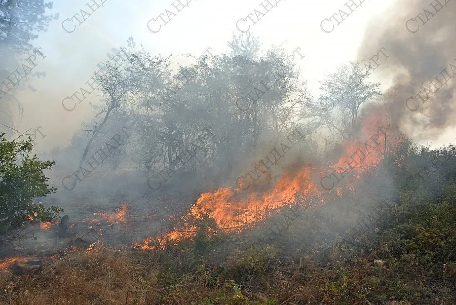 Повикаха отново хеликоптер за пожара при Свиленград 