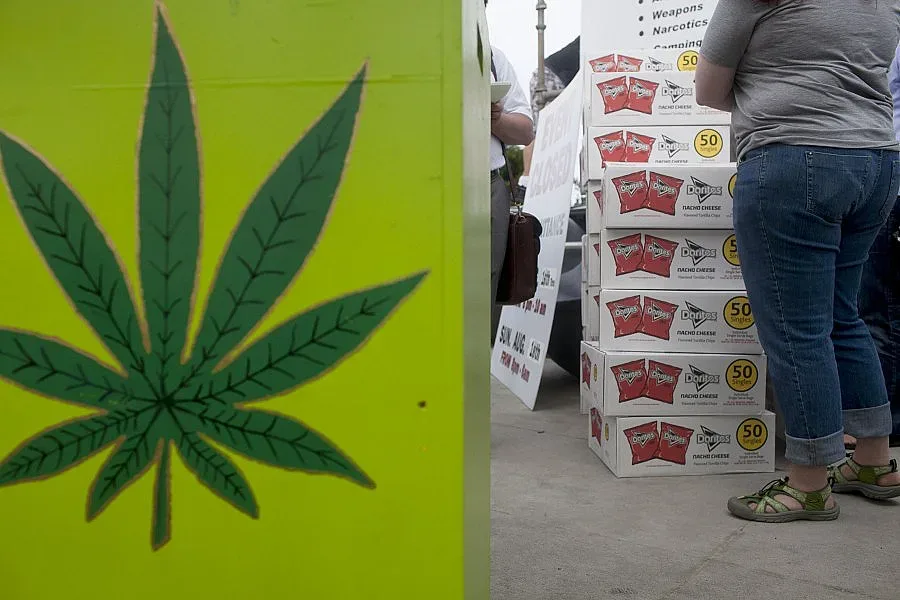 Разкриха фабрика за марихуана край Пазарджик