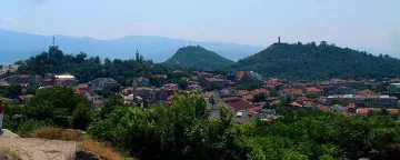 Залесяват с близо 2000 нови дървета пловдивските тепета