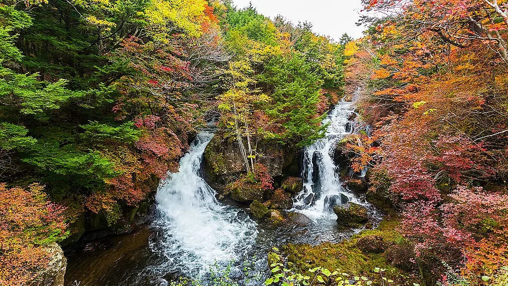 Коренна промяна на времето! Синоптиците подсладиха есента