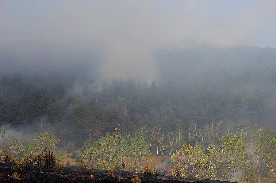 Фандъкова: Пожарът край София е овладян