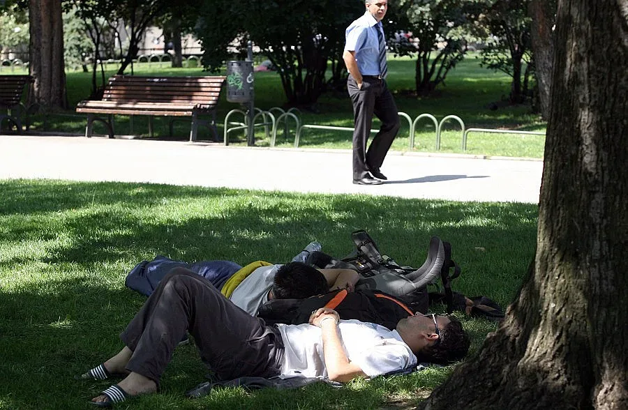 Оси нападат по 10 на ден