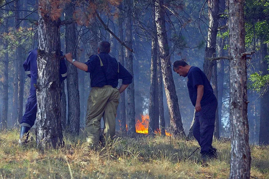 Пожари в цялата страна, сух режим край София