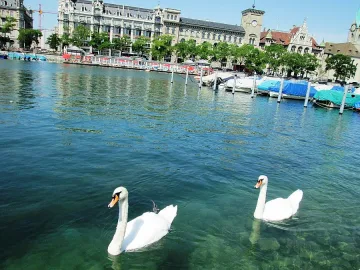 Цюрих - последна спирка преди отвъдното