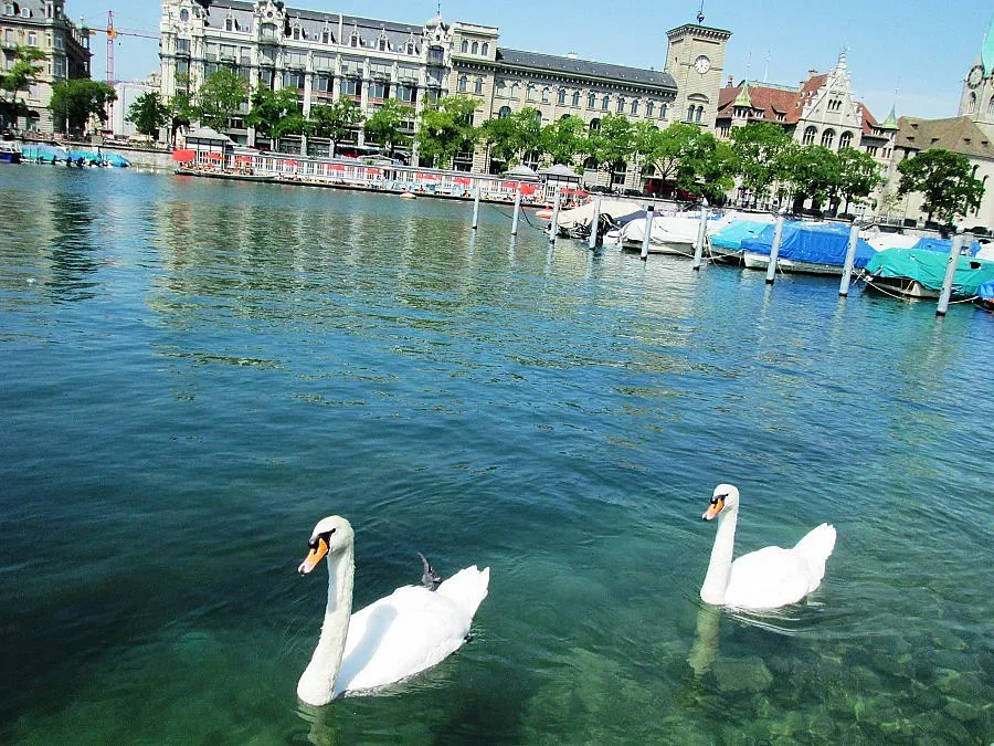 Цюрих - последна спирка преди отвъдното