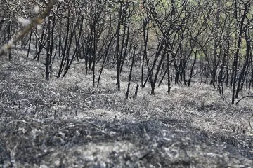 Продължава да работи кризисният щаб в Стара Загора