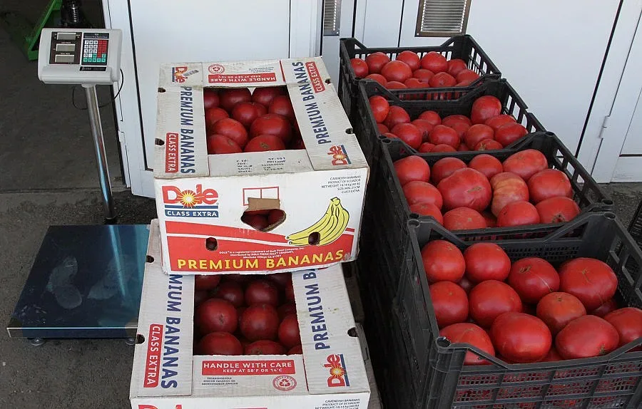 От октомври правят регистър на зеленчукопроизводителите