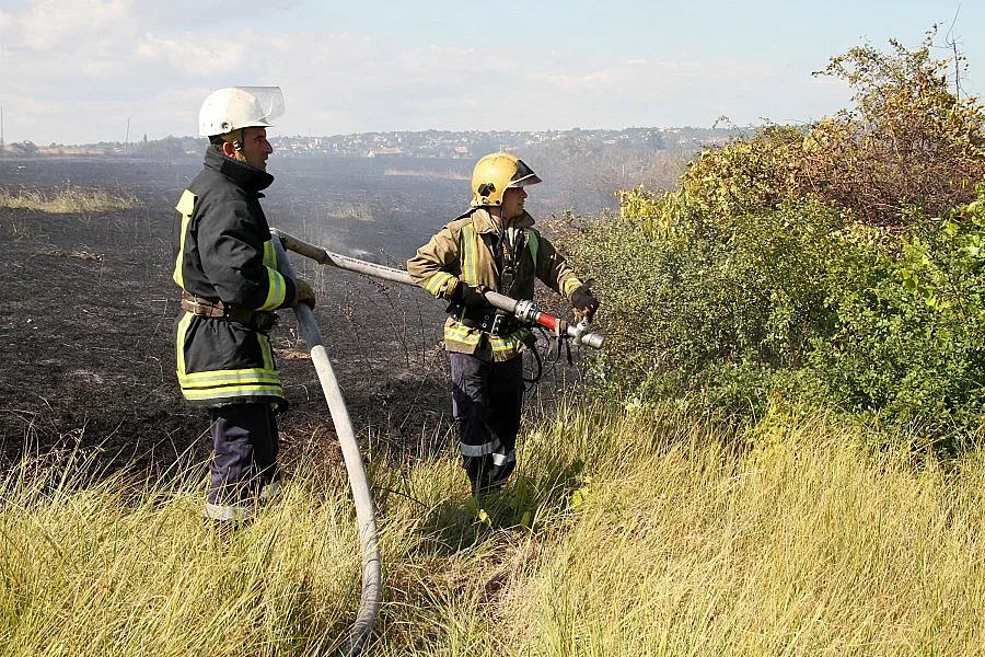Потушиха пожарите край Варна и Харманли