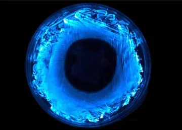 Направиха лампа на бактерии