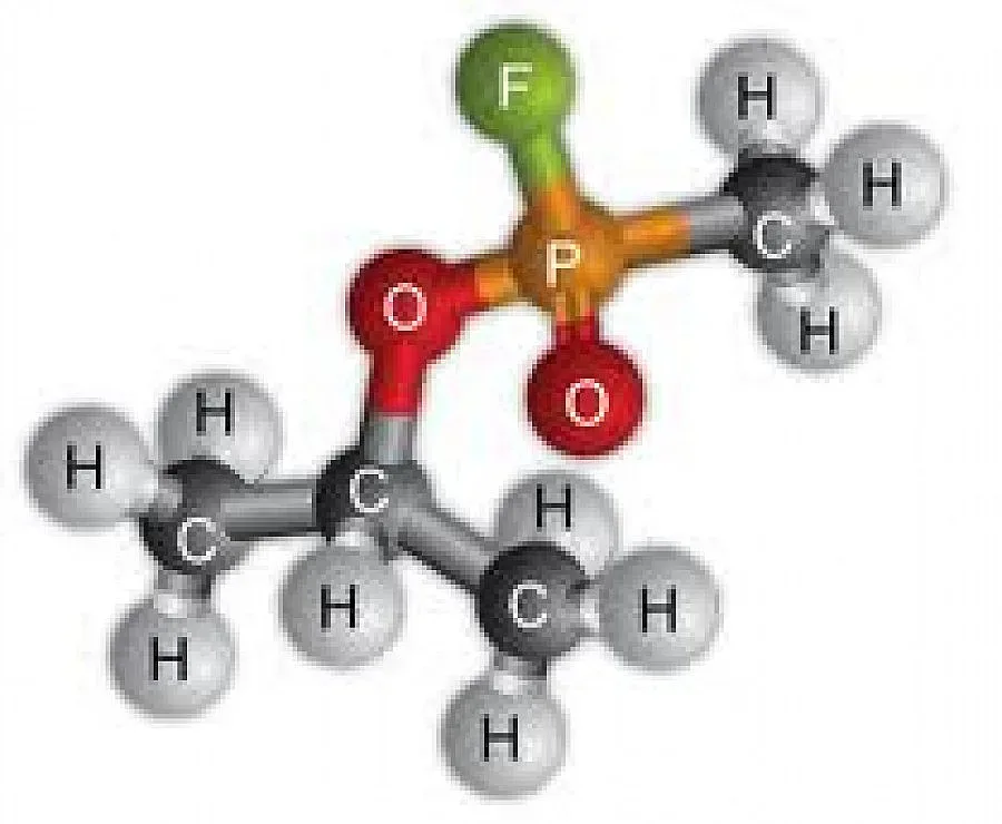 Зарин влязъл от Турция у нас