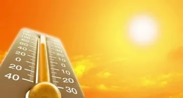 Минимум 119 жертви на горещините в Япония