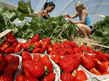 Доклад на Албиона успокоява истерията около българите