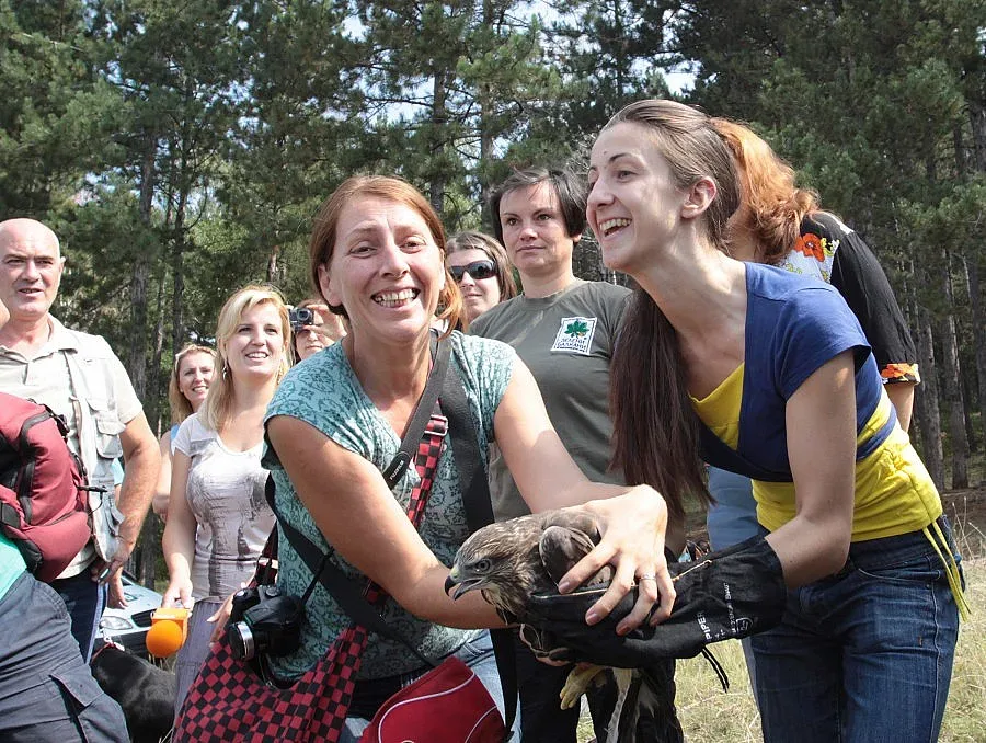 Пуснаха шест редки птици на свобода