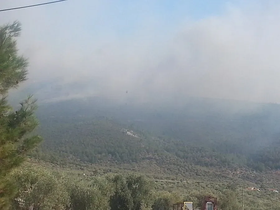 Гори пожар на остров Тасос