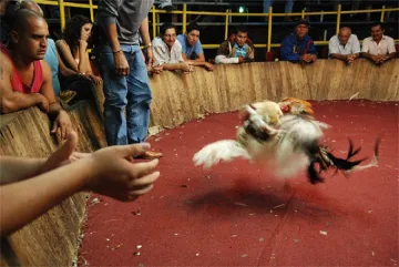 Арестуваха кралска дъщеря