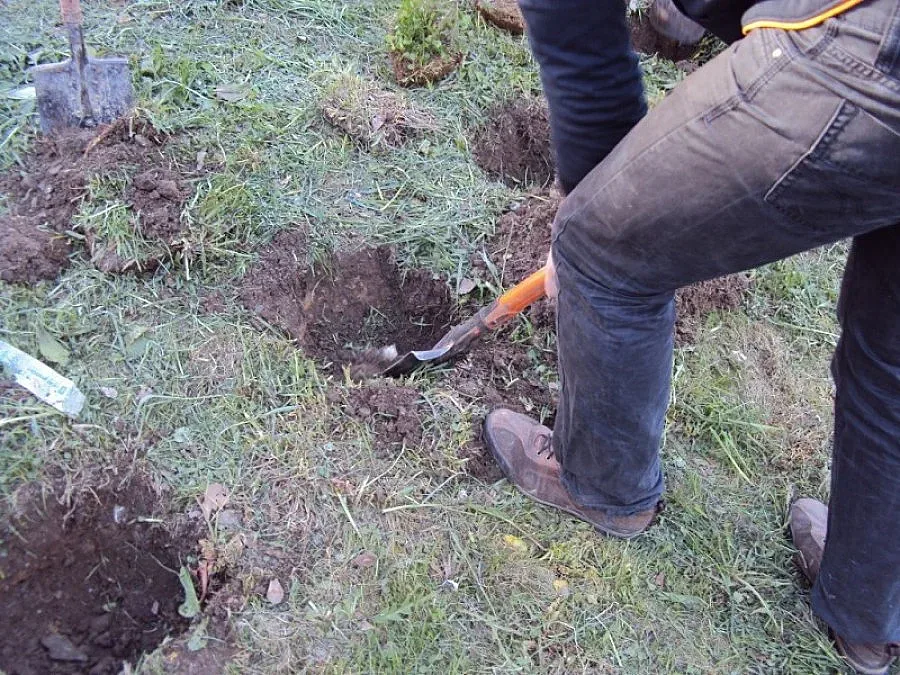 Земеделец намери скелет, докато си копае канал