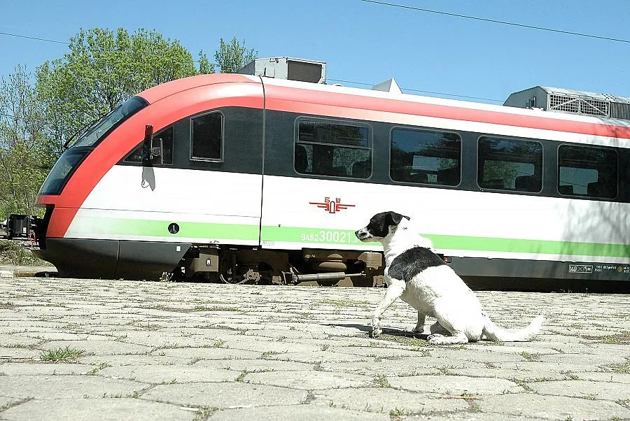 Нови директори в БДЖ