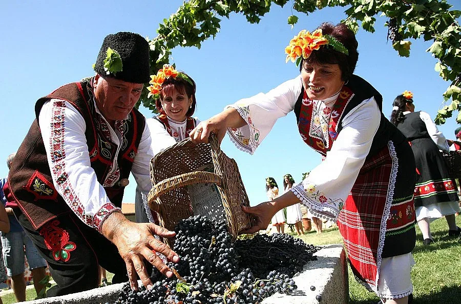 Гроздоберът подрани за Богородица