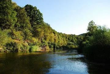 Протест срещу шефа на горското в Царево