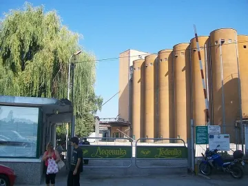 Мездра на опашка за работа в "Леденика"