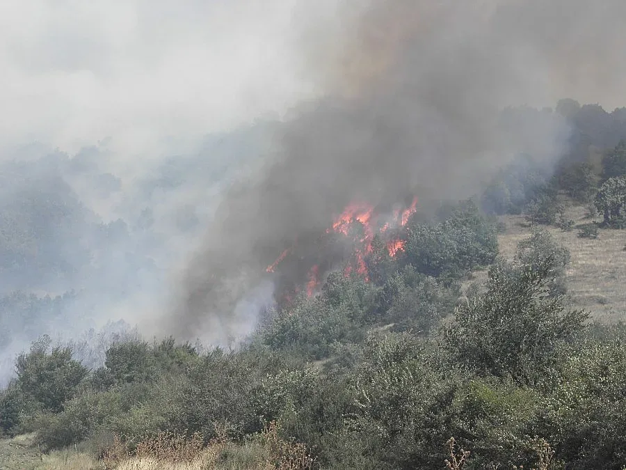Пожарът край Айтос е овладян
