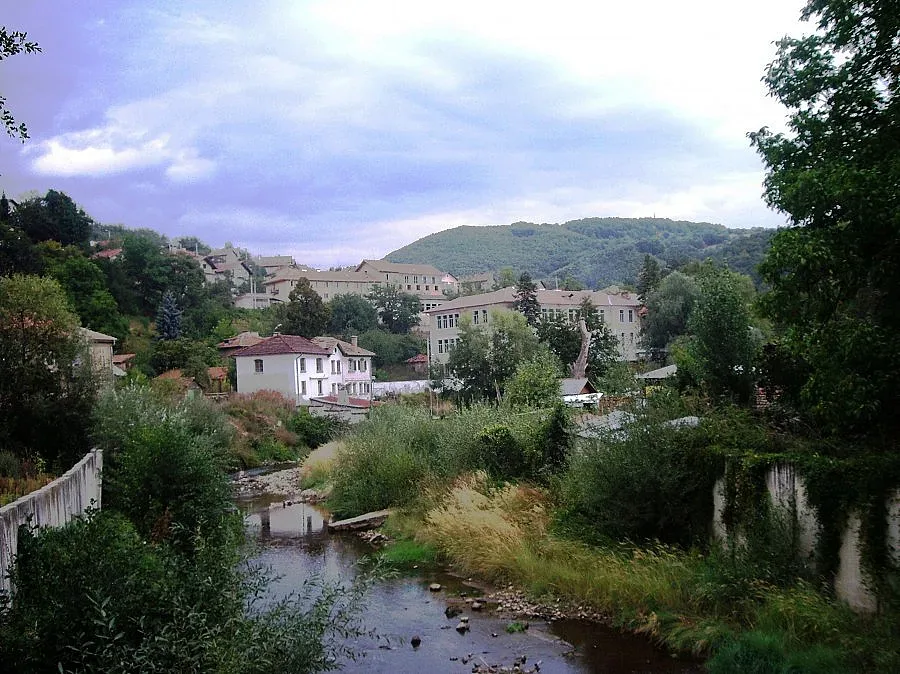 Трънчани си направиха партия "Руй"