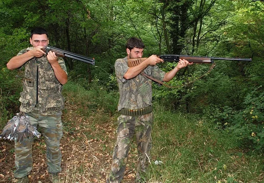 120 000 хващат гората