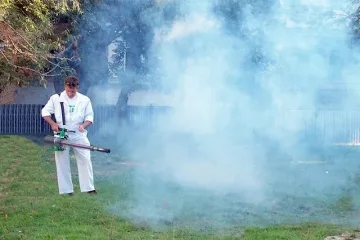 Кърлежи и бълхи нападнаха Монтана