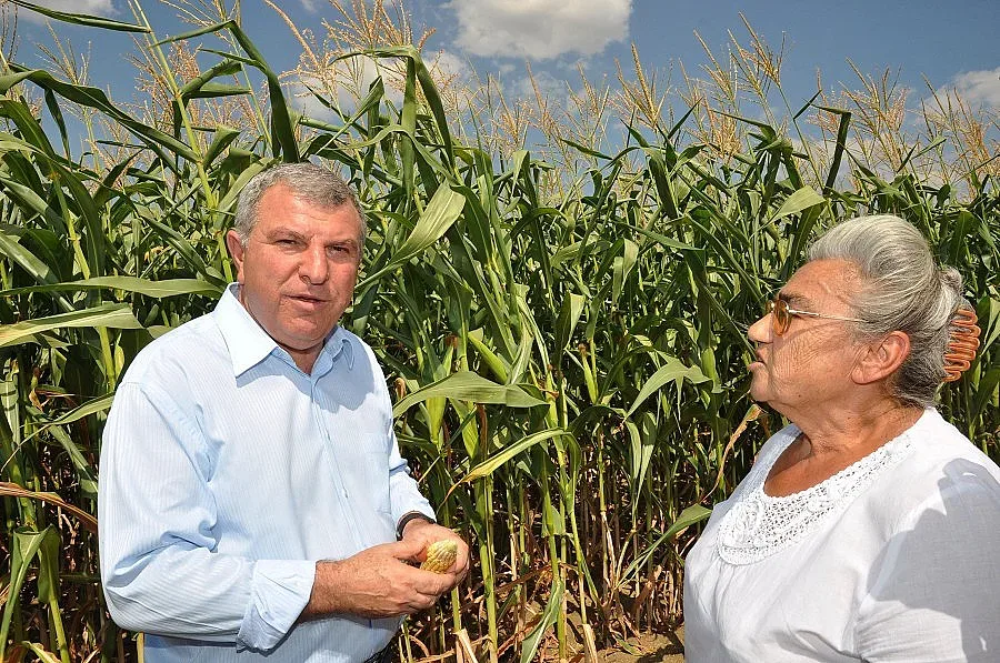 Греков: Зърното за хляб е осигурено