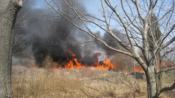 300 декара треви и горски масив горят край Мъдрец