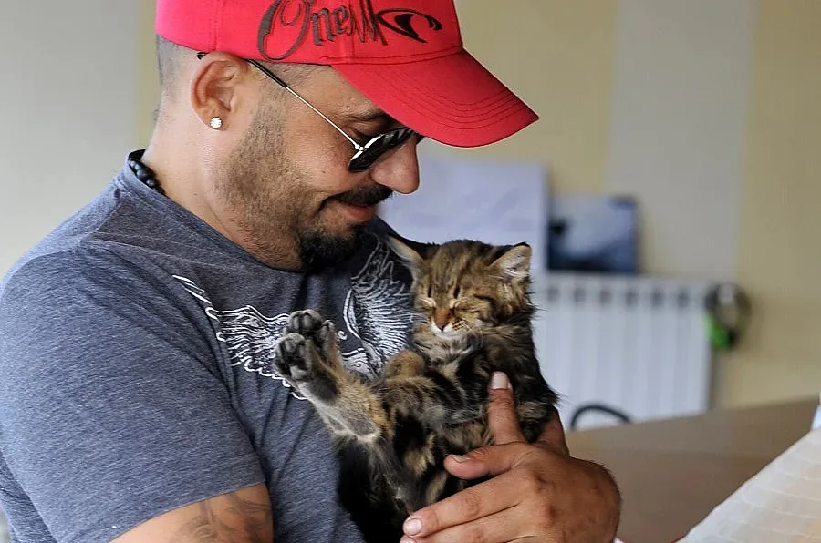 Звезди черпят писаните си за празника им