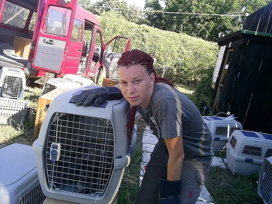 Испански лешояди населяват българската природа