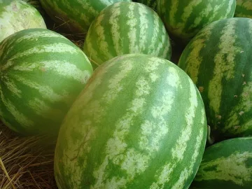 Торнадо от дини удари наше село