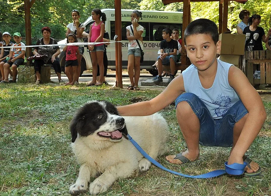 Киноложка изложба събра почитатели във Вършец