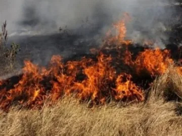 Мъж загина при пожар във вилата си