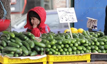 Корнишони и тютюн хранят Господинци