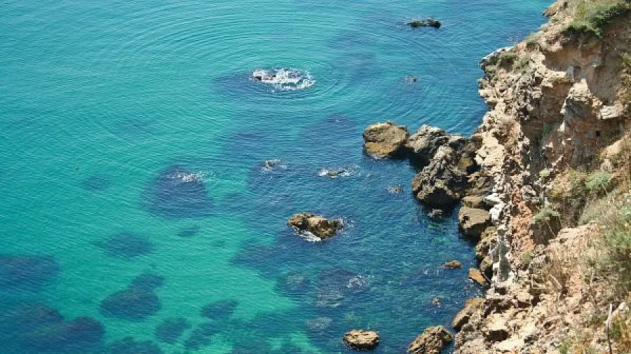 Екоспециалисти дискутират опазването на природата в Дунав и Черно море