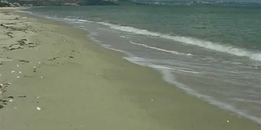 Добричлия се удави пред сина си