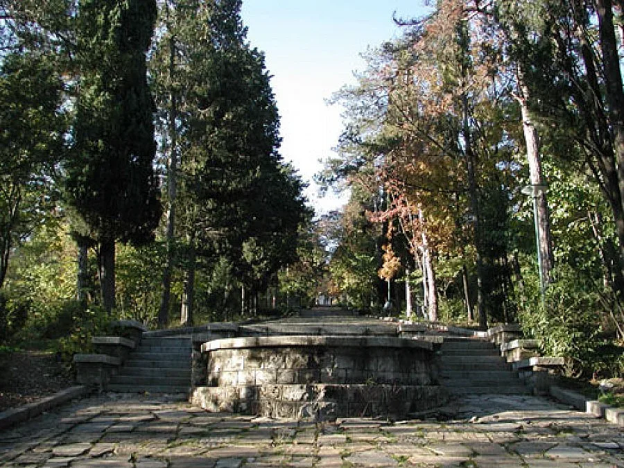 Цимбика агитка на Стойчо под Аязмото