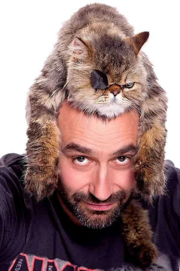 Котката на Калин Вельов стана модел