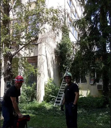 Жена скочи от прозорец на ДКЦ