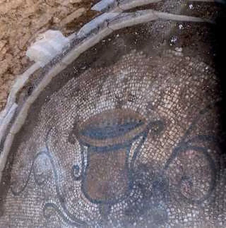 Нова находка в античния резерват Августа Траяна