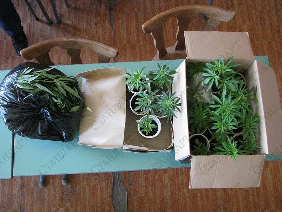 Над кило наркотици спипаха в чирпанско село