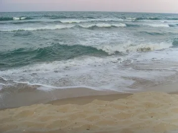 Гонят палатките от "Корал"