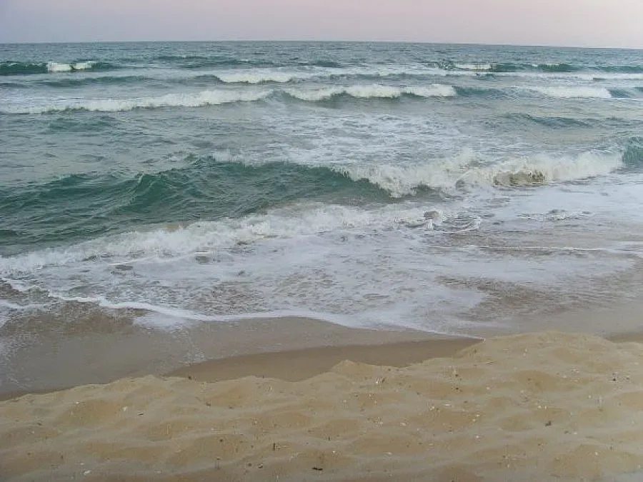 Гонят палатките от "Корал"