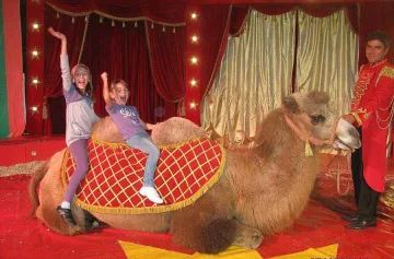Камили са атракция в Албена за месец